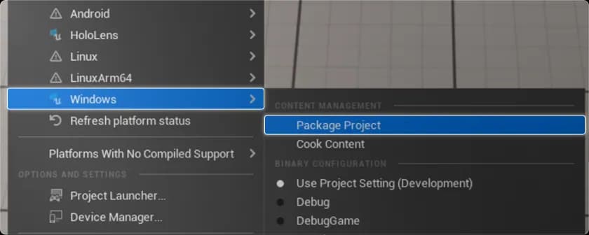 Unreal Engine deployment configuration and application setup interface for publishing pixel streaming projects to Eagle 3D Streaming cloud infrastructure