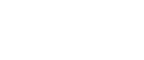 Technology Partner 2