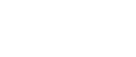 Technology Partner 3