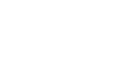 Technology Partner 4